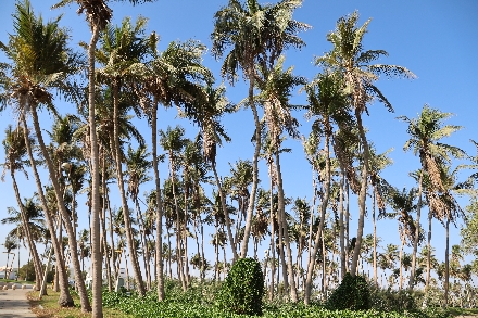 Yanbu Zon zee strand Saoedi Arabië Waterfront