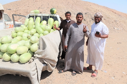 Klimaatinformatie Saoedi Arabië