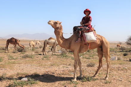 Klimaatinformatie Saoedi Arabië