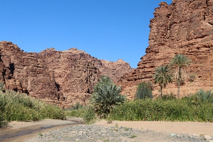 Wadi Disah Saoedi Arabië avontuur Oase