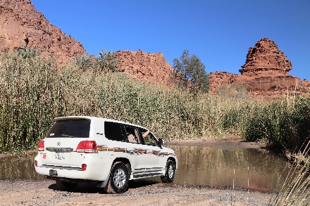 Wadi Disah Saoedi Arabië avontuur Oase