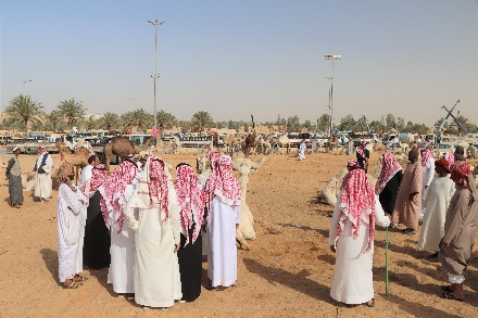 Kamelenmarkt Buraidah Al Qassim Saoedi Arabië