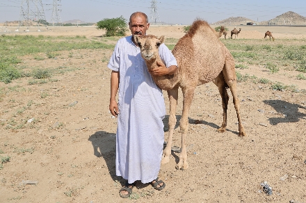 Taif Saoedi Arabië Rondreis Selfdrive Roadtrip