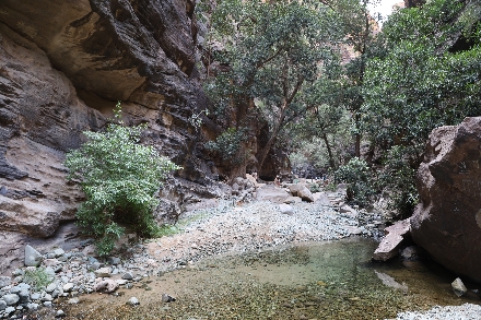 Wadi Lajab Saoedi Arabië avontuur wandelen