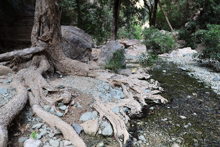 Wadi Lajab Saoedi Arabië avontuur wandelen