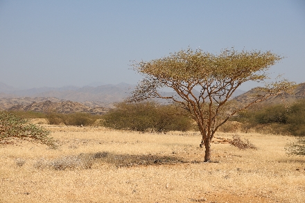 Wadi Lajab Saoedi Arabië avontuur landschappen