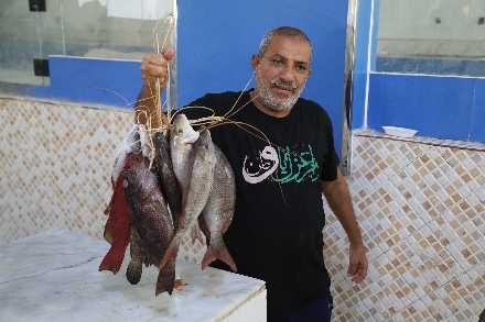 Jizan Gizan Jazan Saoedi Arabië Vismarkt