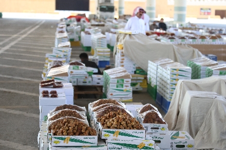 Dadelmarkt Qassim Buraidah Saoedi Arabië