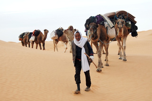 Woestijn activiteiten Saoedi Arabië Bedoeïenen